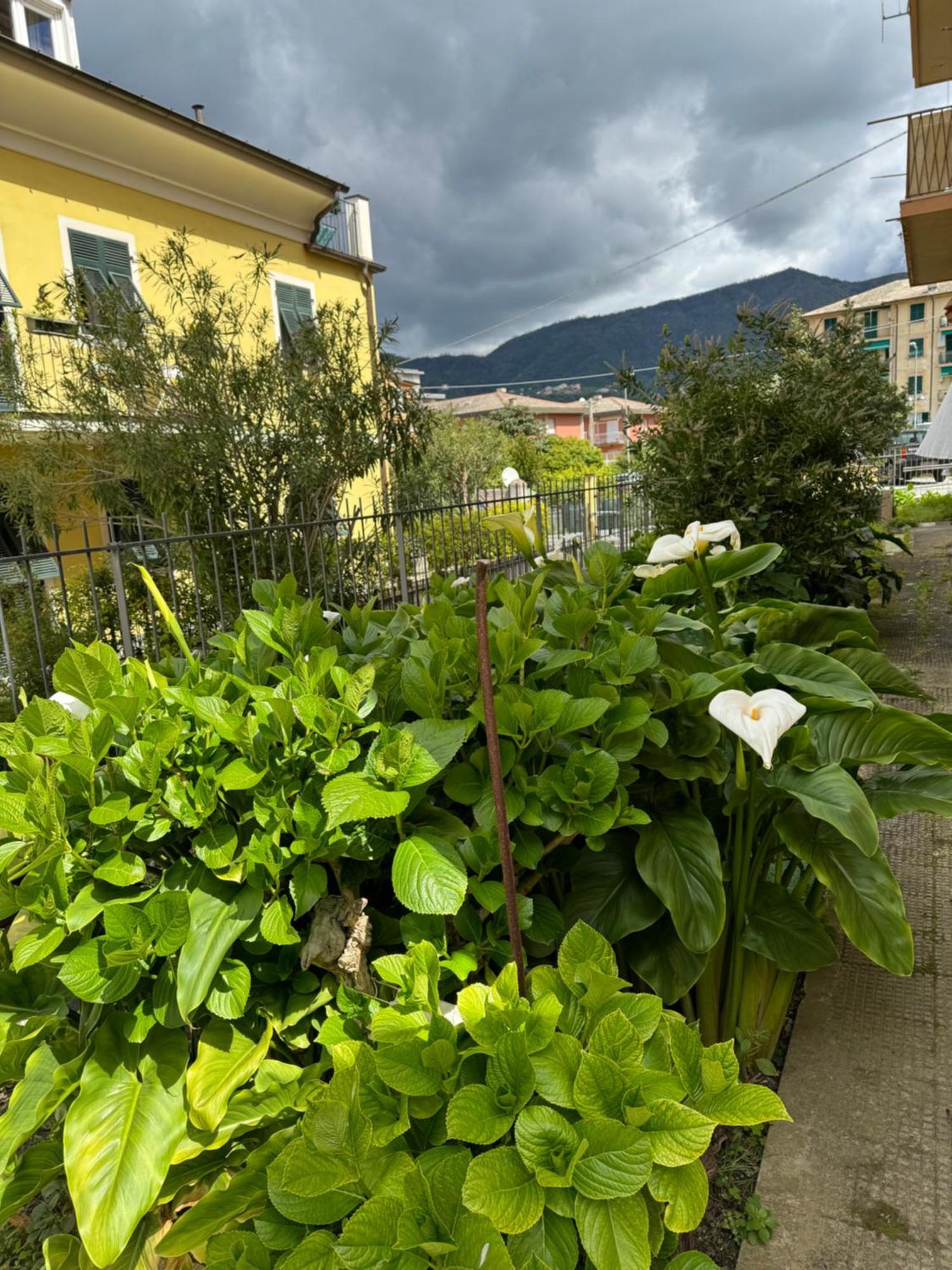 Appartamento Marilyn Levanto Exterior photo
